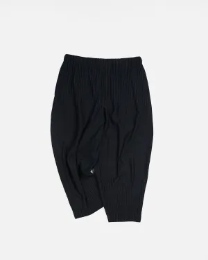 HOMME PLISSE Wide Pants
