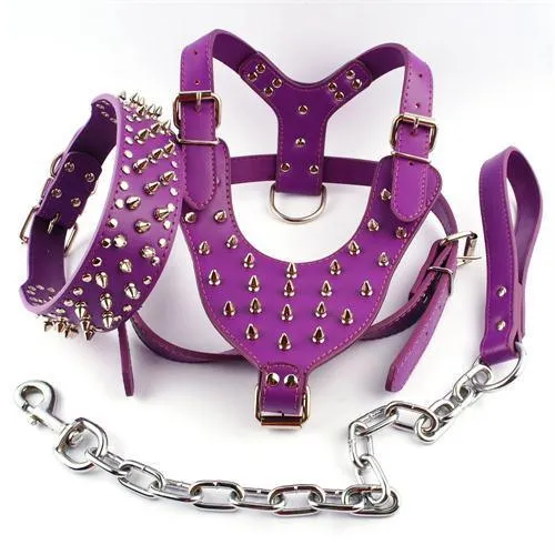 Spiked Studded Set of Genuine Leather Dog Harness Vest wt Rivets Collar & Leash